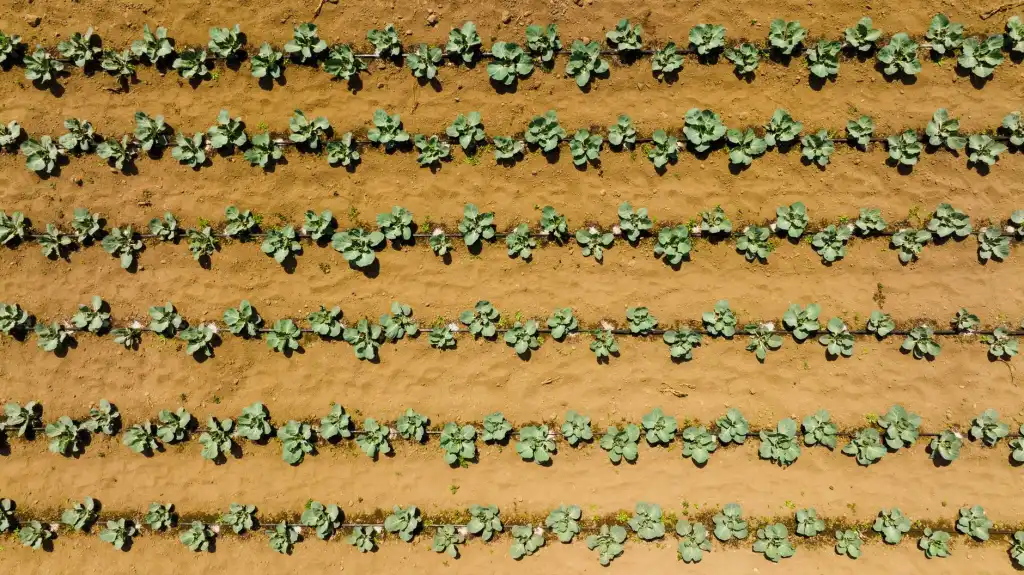 安防监控摄像头夜间成像效果提升方案及技术对比