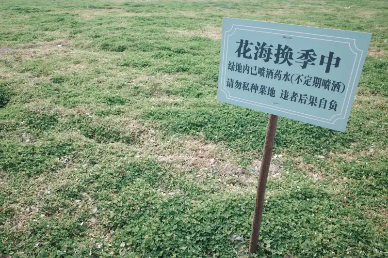 安防监控摄像头选购指南：不同场景下的像素与夜视性能对比