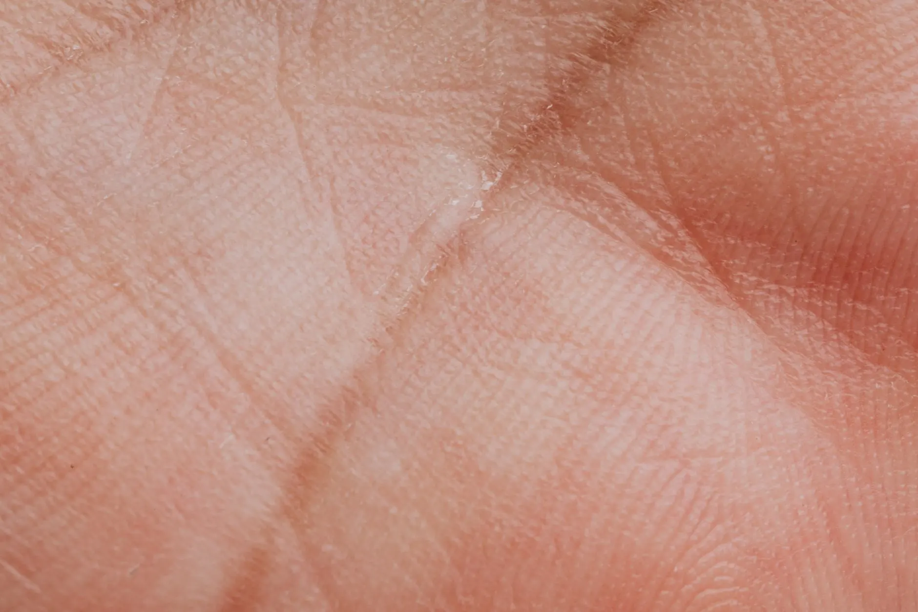 沧州景先电子科技弱电工程全流程解析：从布线到调试的关键要点