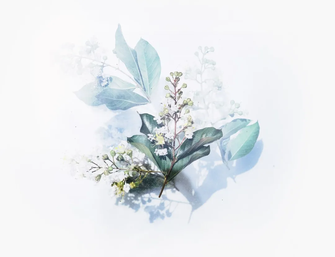 弱电工程综合布线系统施工规范与质量验收要点解析