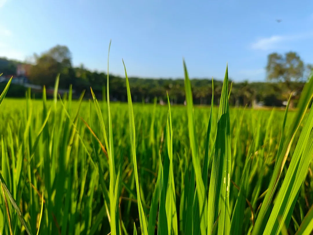 弱电工程综合布线系统施工流程与质量验收标准详解